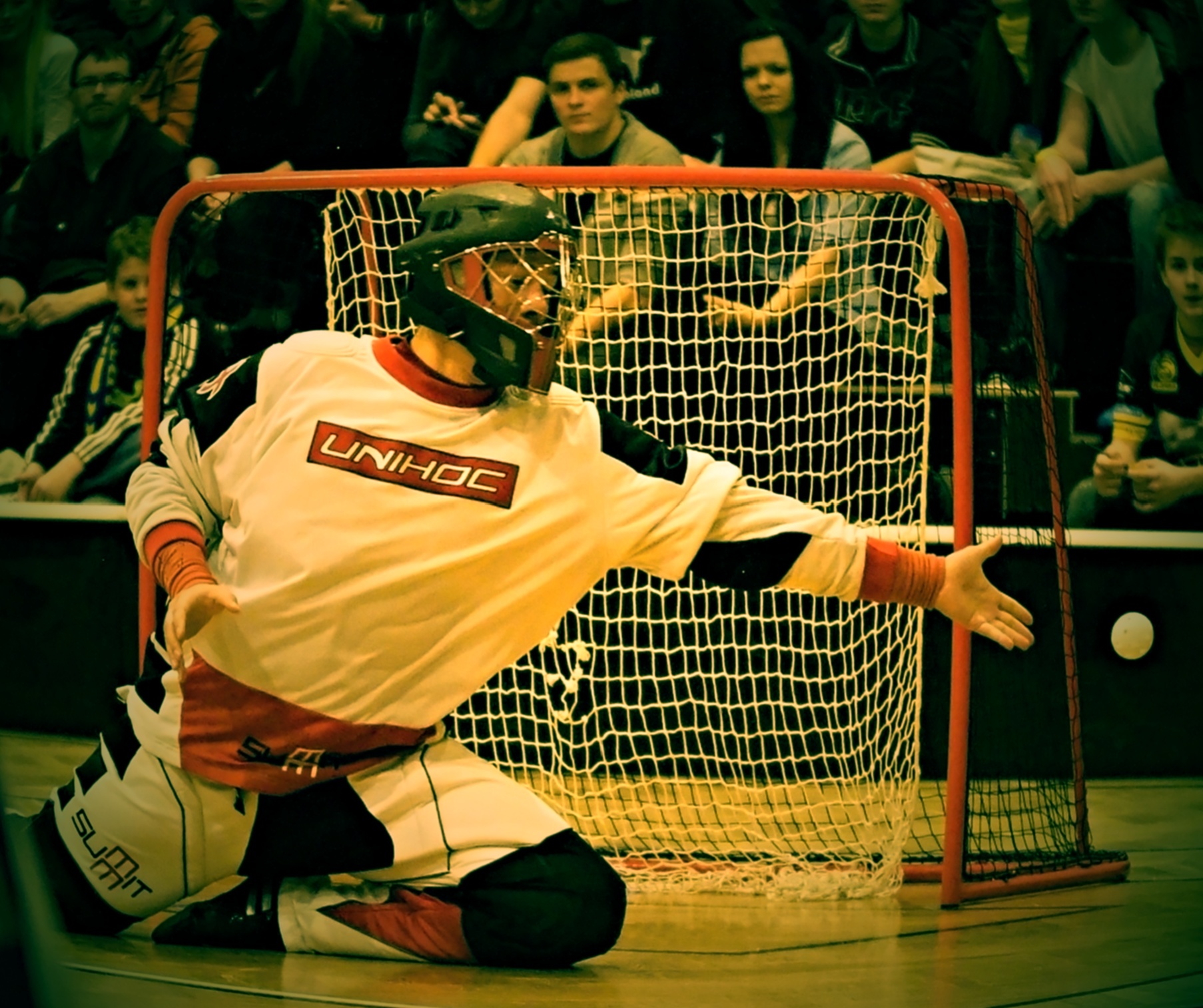 FBC Kladno play off 3.3.2013 (95)